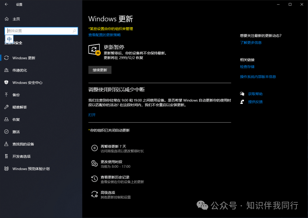 暂停Win10 / Win11 系统更新 到 2999年