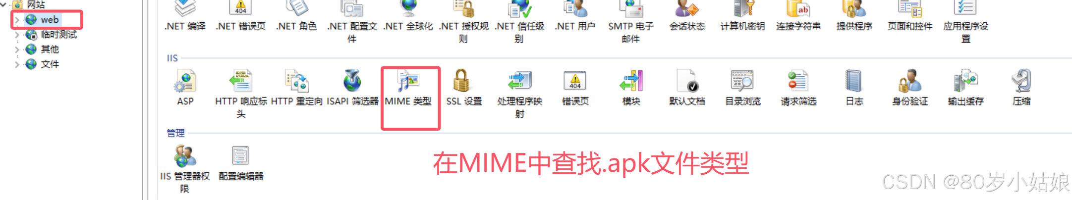 服务器创建网站无法下载.APK及.EXE等文件解决办法